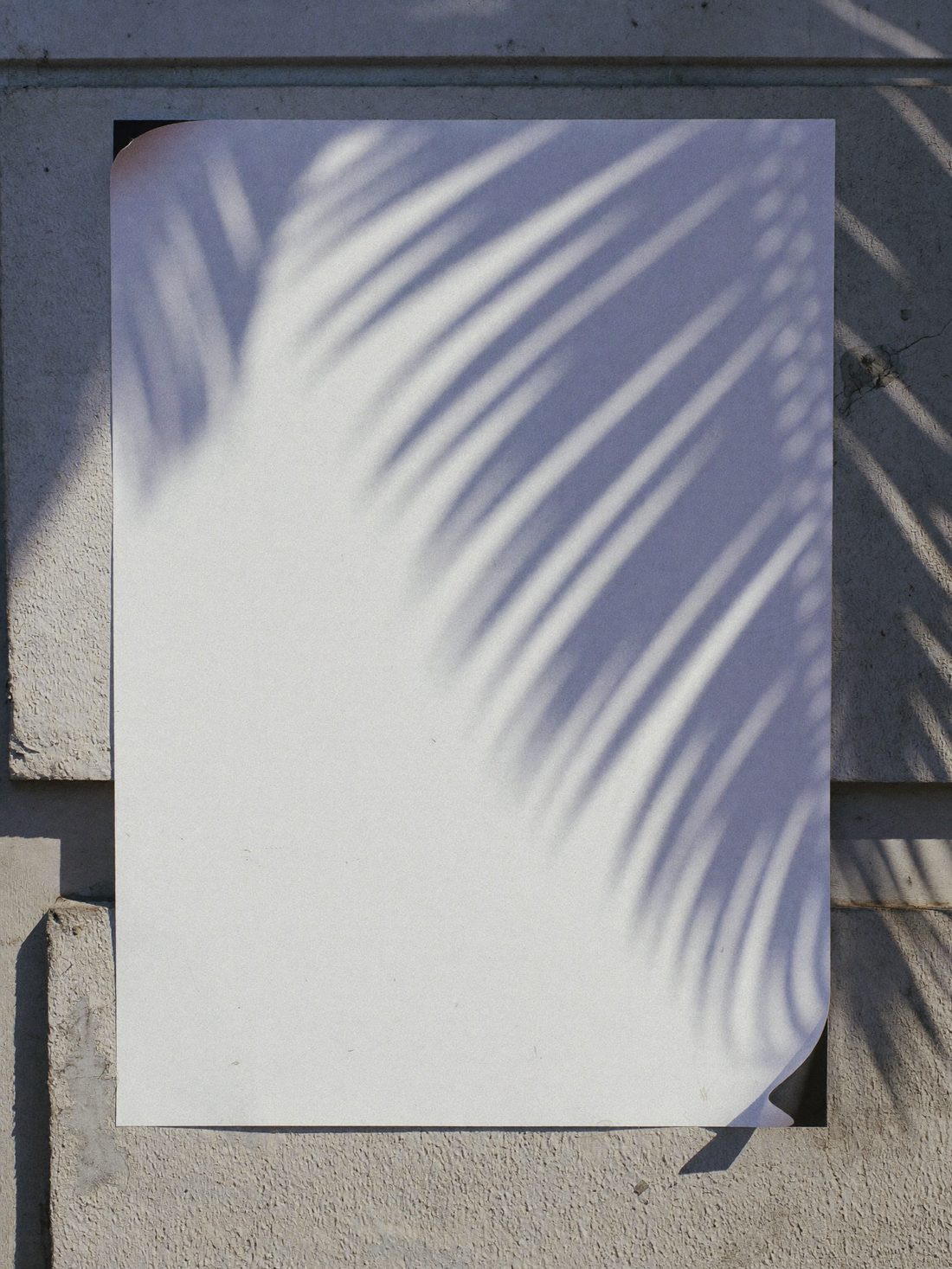 Afiche en la calle con el lema